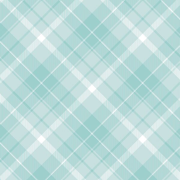 Twill Plaid in Robin
