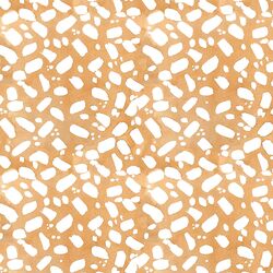 Sand Stones in Warm Desert