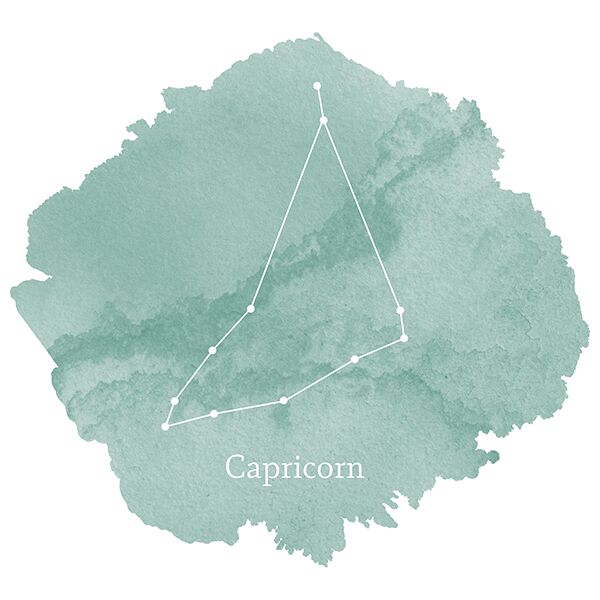 Capricorn Sign Panel in Aspen