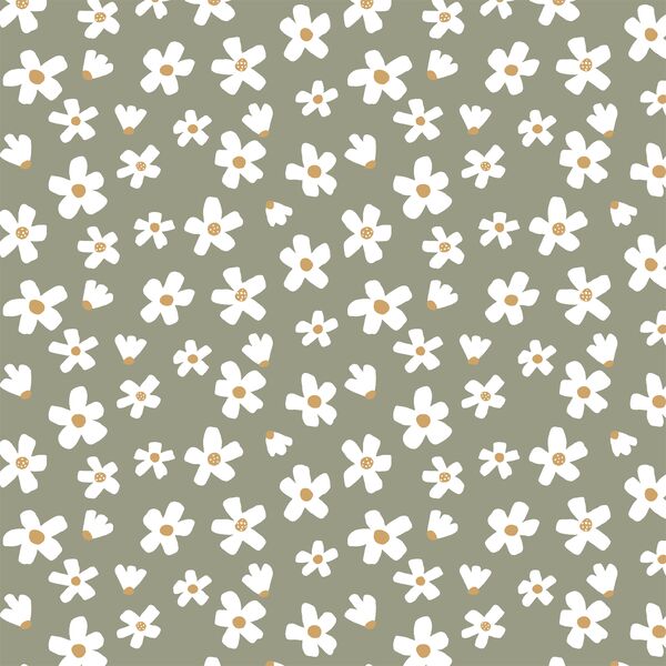 Large Daisy Garden in Meadow Green