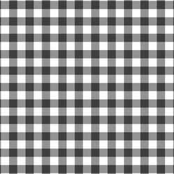 Gingham in Onyx
