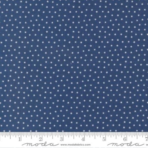 Starlight in Dark Blue