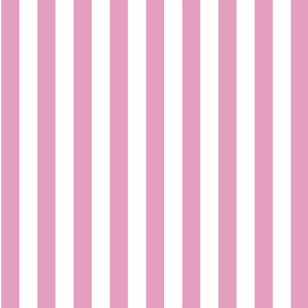 Candy Stripe in Begonia