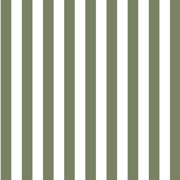 Candy Stripe in Olive