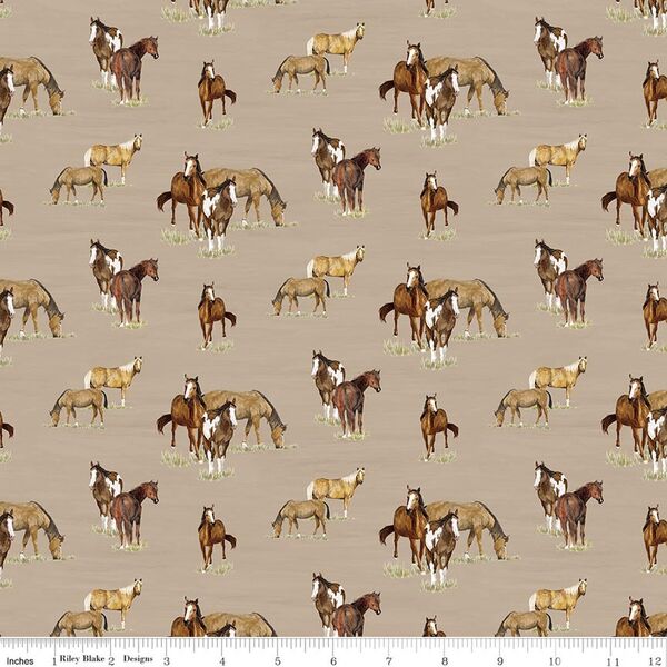 Horses in Tan