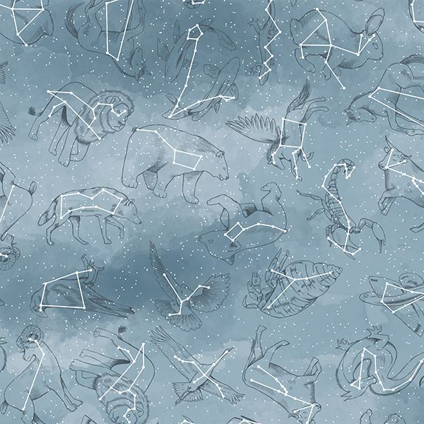 Constellations in Marine