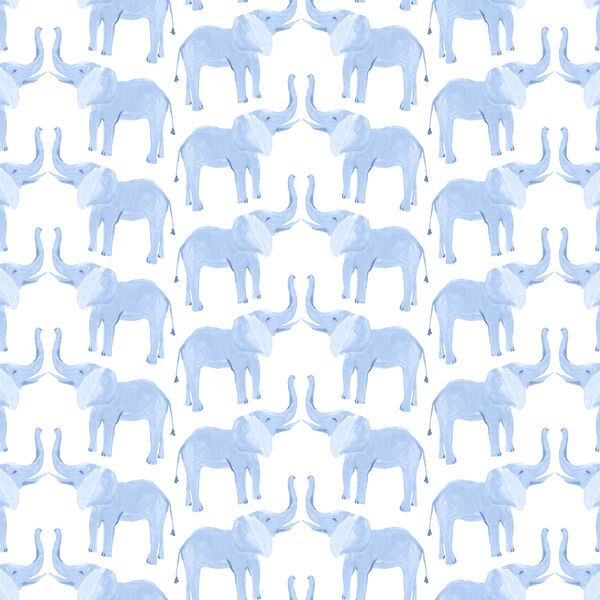 Tembo in Rain