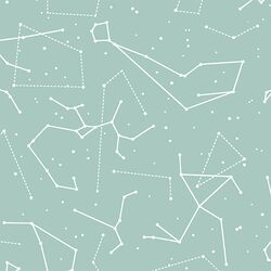 Star Charts in Aspen