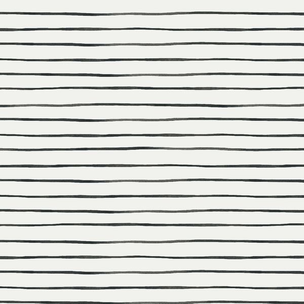 Spooky Stripes in Black Cat