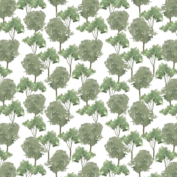 Treetops in Forest