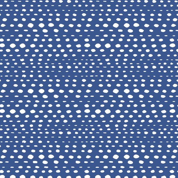 Little Skipping Stones in Blue Jay