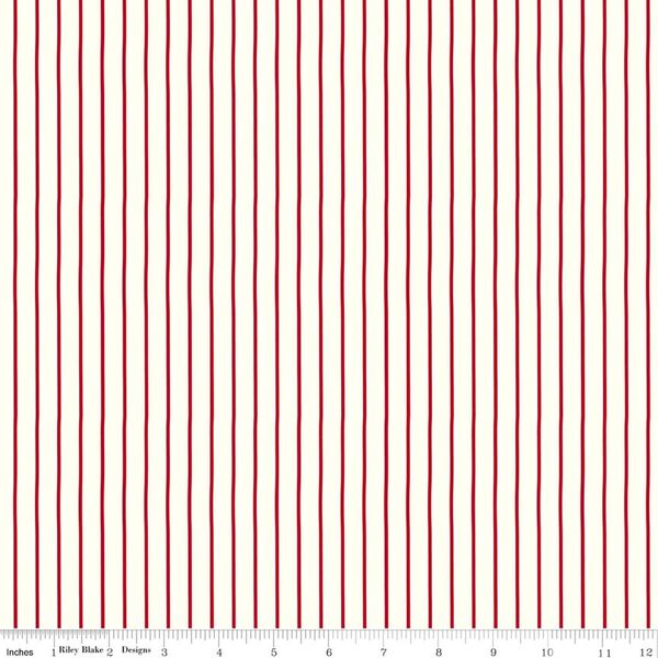 Stripe in Cloud