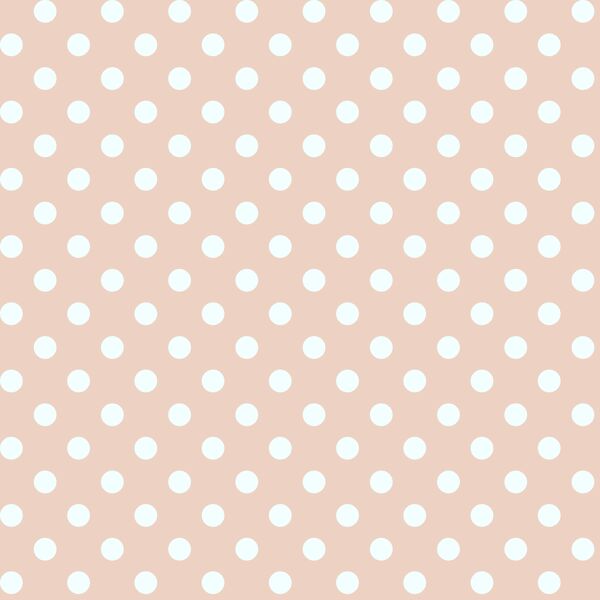 Candy Dot in Shell