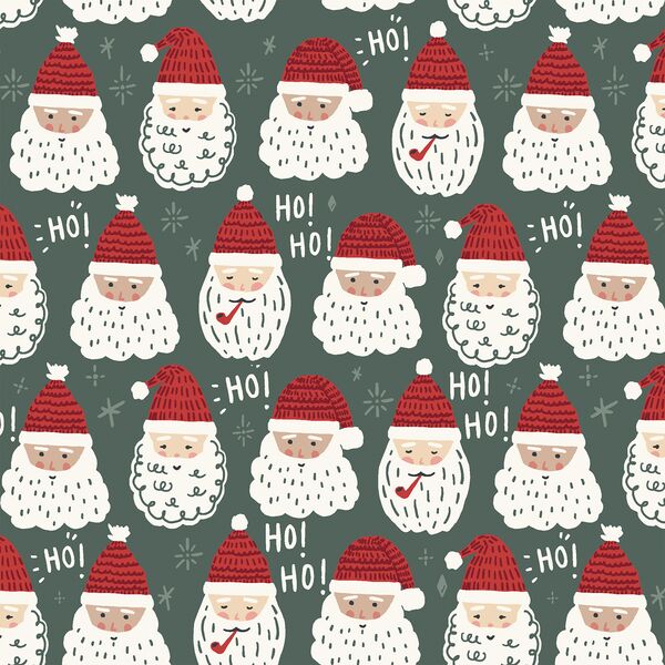 Father Christmas in Duck Green