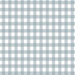 Winter Gingham in Dusty Blue on White