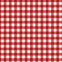 Gingham in Red