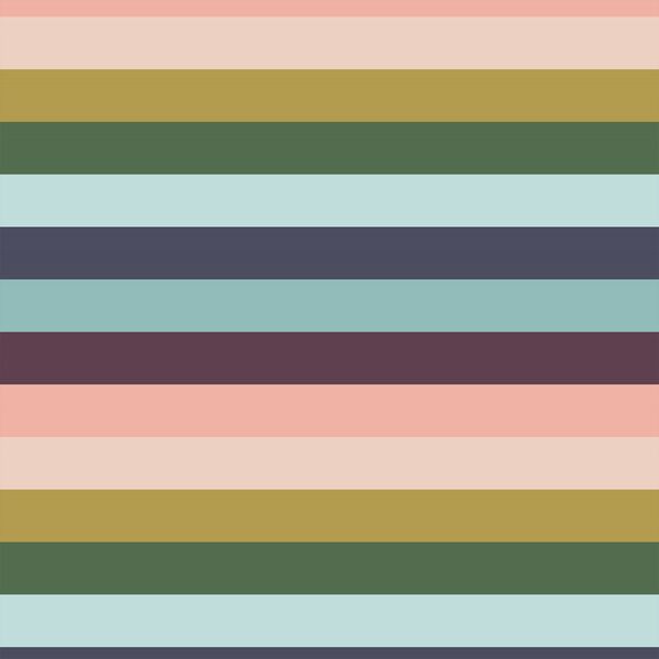 Look Lively Stripe in Black Forest