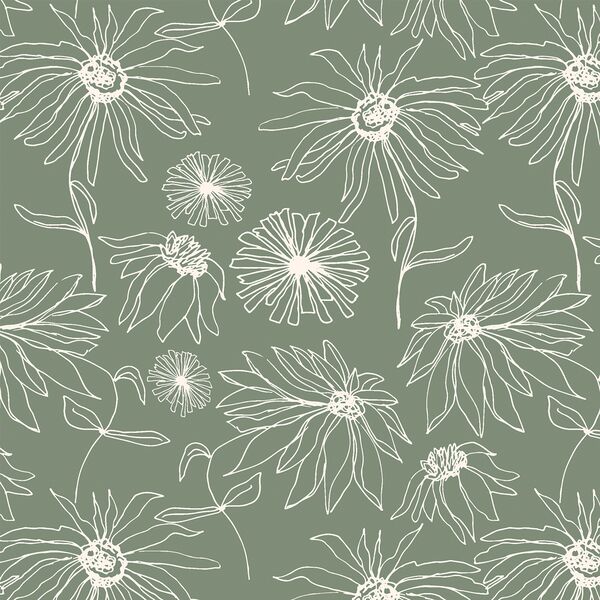 Aster Sketch in Leaf Green