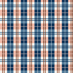 Little Plaid in Rust and Royal