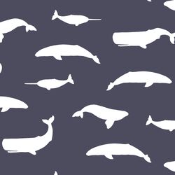Whale Silhouette in Ink