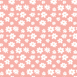 Daisies in Coral