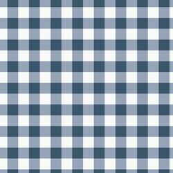 Gingham in Evening Ramble