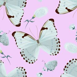 Large Forest Butterflies in Verbena