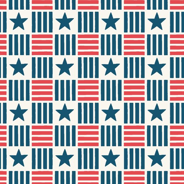 Stars and Stripes Check in Firecracker