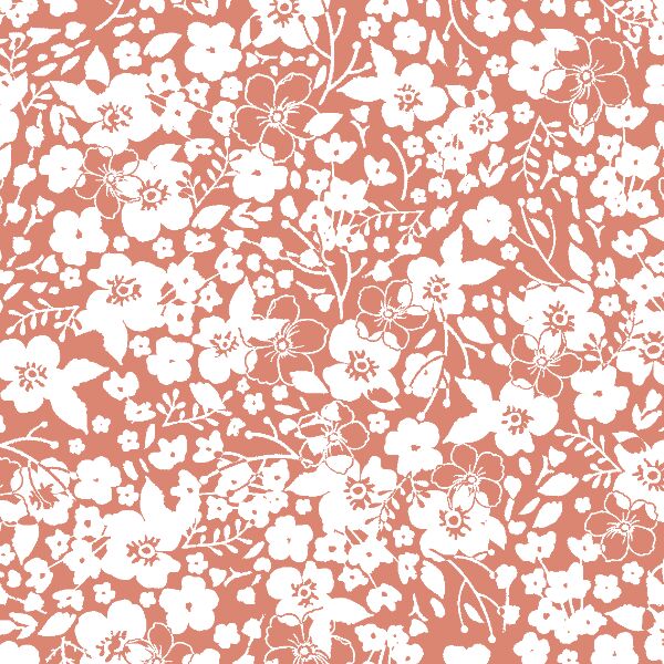 Forget Me Not in Desert Rose