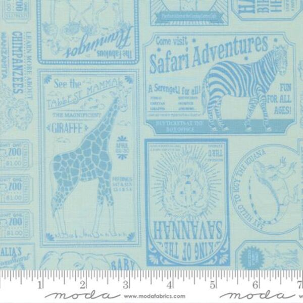 Vintage Zoo in Aqua