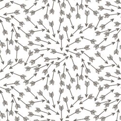 Arrows in Stone on White