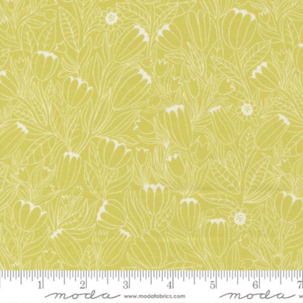 Tulip Lines in Light Green