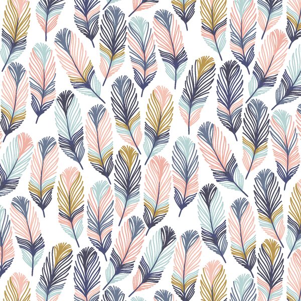 Feathers in Blackbird