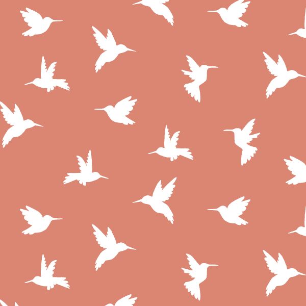 Hummingbird Silhouette in Desert Rose