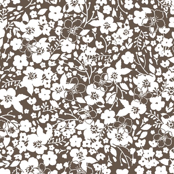 Forget Me Not in Timber