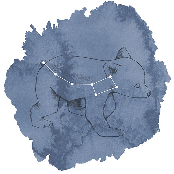 Ursa Minor Panel in Midnight