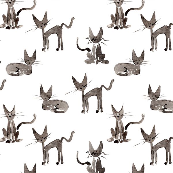 Big Shadow Cat in Spellbound