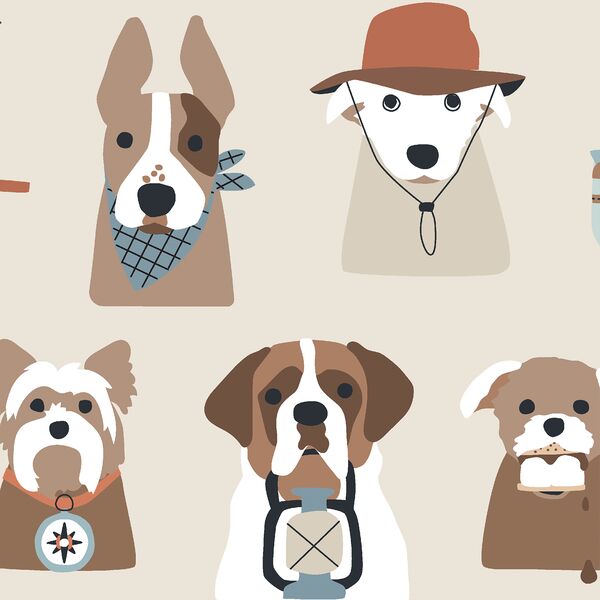 Large Camping Pups in Khaki
