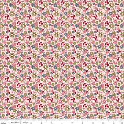 Daisy in Coral
