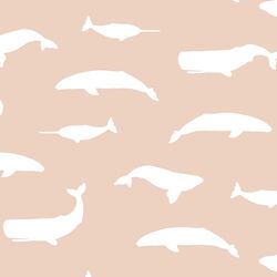 Whale Silhouette in Shell