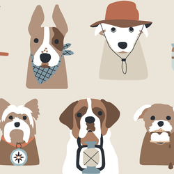 Large Camping Pups in Khaki