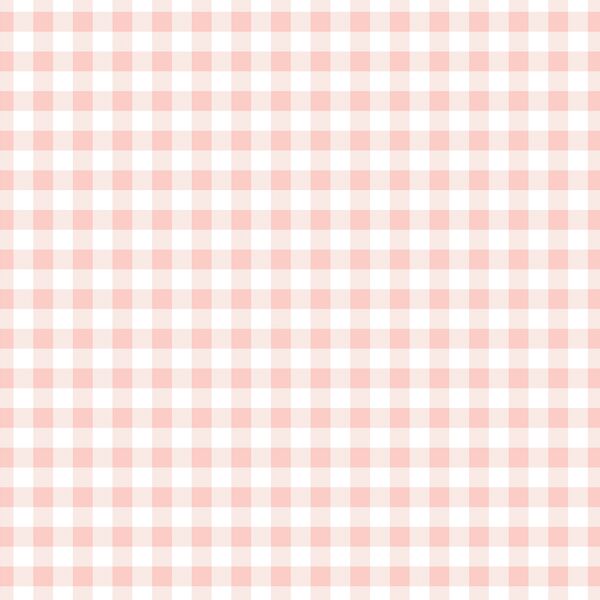 Little Gingham in Pink