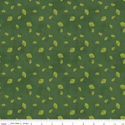Ginkgo in Ivy