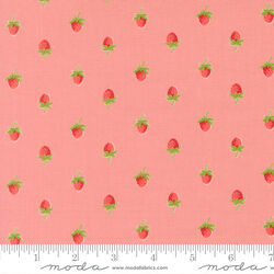 Berries in Blush
