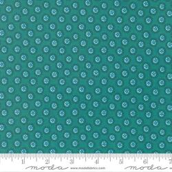 Sand Dollar in Turquoise