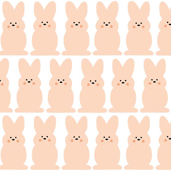 Large Bunnies in Blush