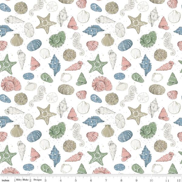 Shells in White