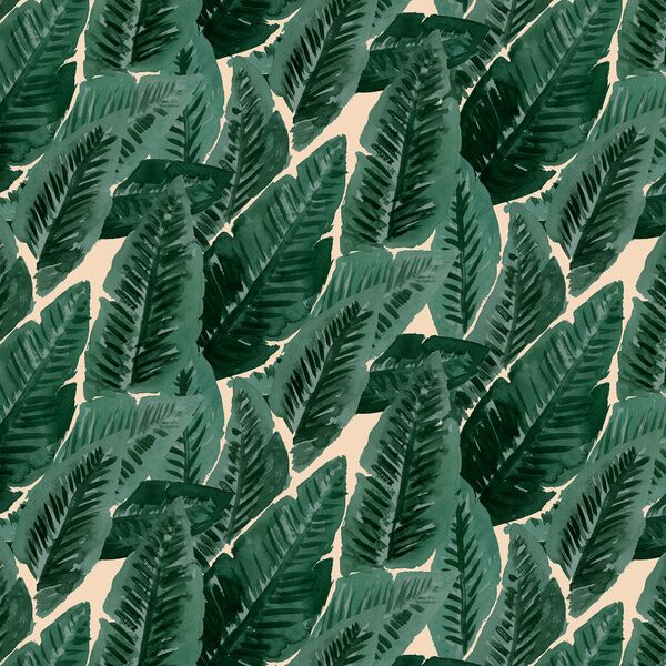 Lush Leaves in Summer Haze