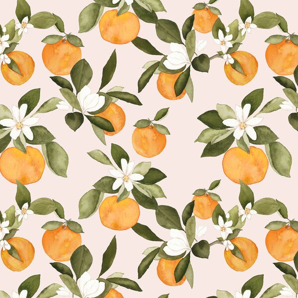 Orange Blossom in Pale Dawn