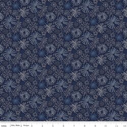 Fireworks in Navy